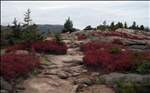 Approaching the Summit, Gorham Mountain